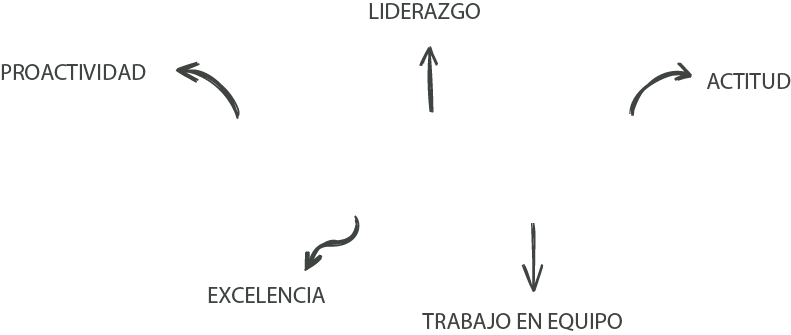 Valores Pelta Seguridad